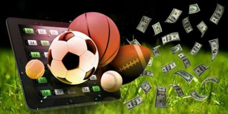 Lợi Thế Của Việc Tham Gia Im Thể Thao H3bet